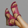 Pink-Purple