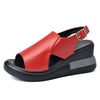 Rot